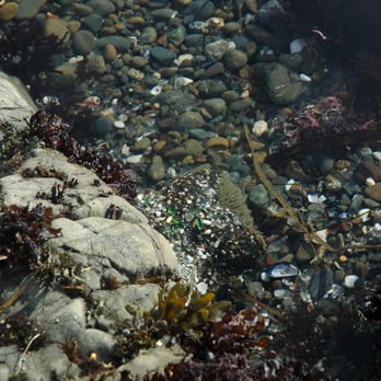 Glass Beach - Beaches Near Me Glass Beach - Beaches Near Me