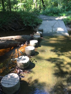 Foxstone Park by null