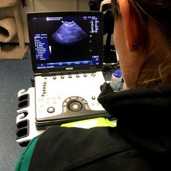 VCA East Bay Veterinary Emergency - An onsite ultrasound allows us to accurately and non-invasively diagnose with is going on with your pet - Emergency Pet Hospital Near Me - Antioch, California VCA East Bay Veterinary Emergency - An onsite ultrasound allows us to accurately and non-invasively diagnose with is going on with your pet - Emergency Pet Hospital Near Me - Antioch, California