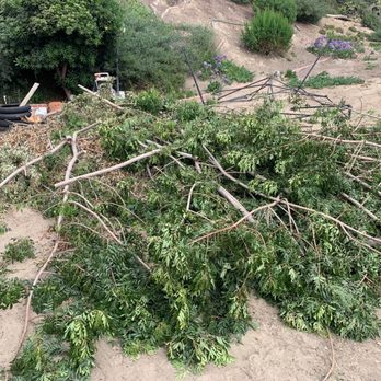 JC Hauling - Removed lots of cleared tree clippings! - Junk Removal & Hauling Near Me JC Hauling - Removed lots of cleared tree clippings! - Junk Removal & Hauling Near Me