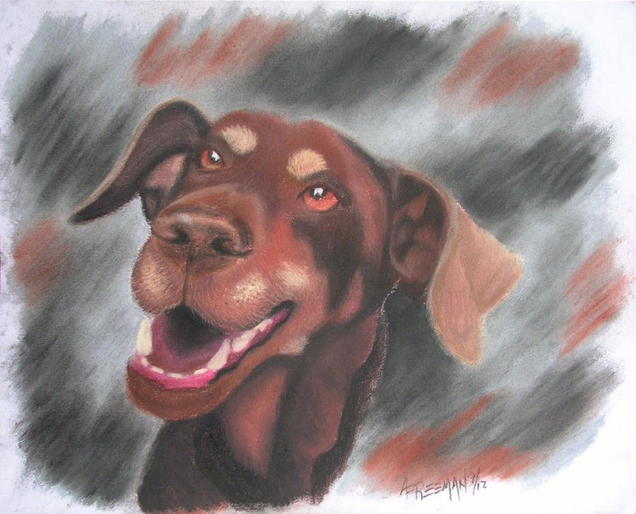 FREEMAN PET PORTRAITS Updated October 2024 Request Consultation