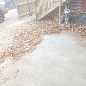 Shaady Doo Lawn Service - a pile of leaves in front of a house - Lawn Services Near Me Shaady Doo Lawn Service - a pile of leaves in front of a house - Lawn Services Near Me