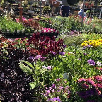 Sunset Nursery - Nurseries & Gardening Near Me - Los Angeles, California Sunset Nursery - Nurseries & Gardening Near Me - Los Angeles, California