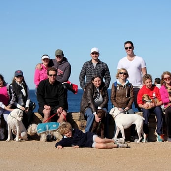 Gusto Dogs - Gusto Dogs organizes community events that benefit Austin animal shelters. - Dog Walkers Near Me Gusto Dogs - Gusto Dogs organizes community events that benefit Austin animal shelters. - Dog Walkers Near Me