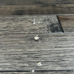 Lowe's Home Improvement - Holes in the wood they installed