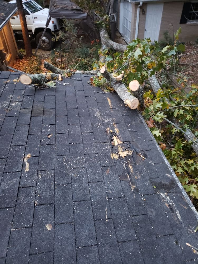 Verdes - tree service in Greenville, SC