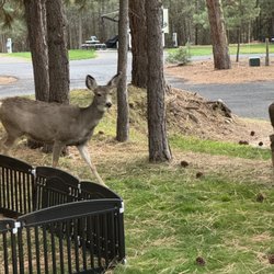McCall RV Resort