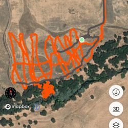 Garcias Hunting Preserves - Grid of entire lot that we walked with a dog