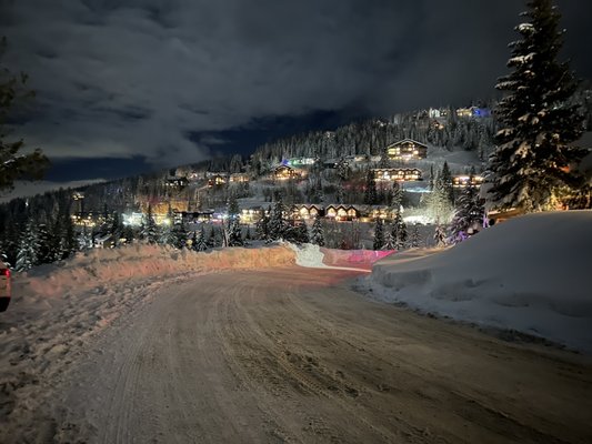 Schweitzer by null