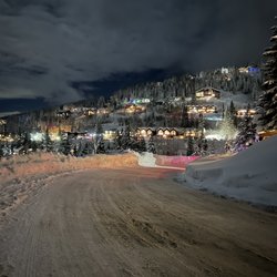 Schweitzer