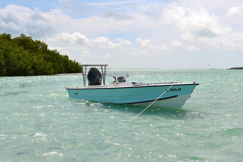 Ebb and Flow Charters Logo
