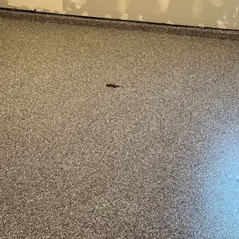 OCD Concrete Coatings - A lizard got stuck in the epoxy as the floor were drying. Drew thankfully came and extracted the little guy! - Flooring Near Me - El Cajon, California OCD Concrete Coatings - A lizard got stuck in the epoxy as the floor were drying. Drew thankfully came and extracted the little guy! - Flooring Near Me - El Cajon, California