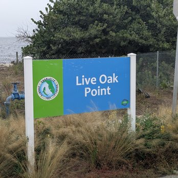 Live Oak Point - Live Oak Point, Port Charlotte - Parks Near Me - Punta Gorda, Florida Live Oak Point - Live Oak Point, Port Charlotte - Parks Near Me - Punta Gorda, Florida