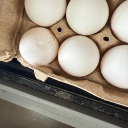 Kroger - 3-6-2026 More eggs broken - Most of these cartons had broken eggs in them today and had yellow yoke dripping off the side of the carton.