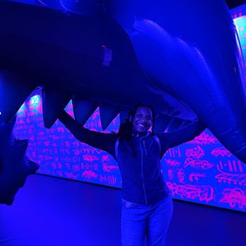 Balloon Museum - My daughter loved the shark exhibit - Museums Near Me - San Francisco, California Balloon Museum - My daughter loved the shark exhibit - Museums Near Me - San Francisco, California
