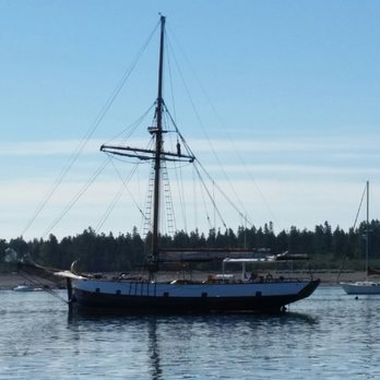 Jolly Breeze - Whale Watching Tours Near Me - Saint Andrews, New Brunswick