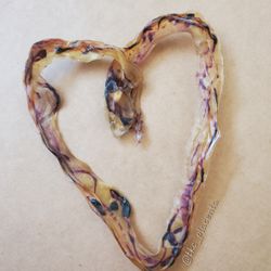 Toni Kinsman Consulting & Placenta Encapsulation - Umbilical cord keepsake (natural)- check out those vessels... providing the vital pathway of blood flow between baby and placenta
