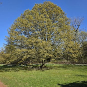 Nordpark - Parks Near Me - Dusseldorf, NW