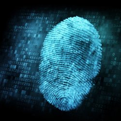 Brissenden Investigations