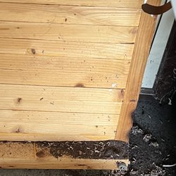 Peabody Self Storage - Rat poop everywhere. Layers of dust, unhealthy situation