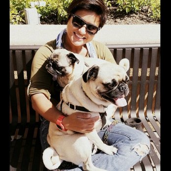 Lina Pet Care - Pug life love! - Pet Sitting Near Me Lina Pet Care - Pug life love! - Pet Sitting Near Me