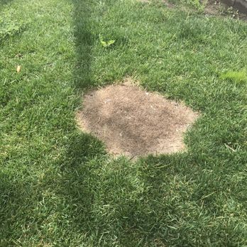 C.O.D By Charlie - They stained a tabletop without anything to protect grass - Landscaping Near Me C.O.D By Charlie - They stained a tabletop without anything to protect grass - Landscaping Near Me