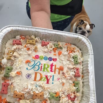 Pooches Playground - Doggie Birthday Cake! $12.99 and up depending on the ingredients. Call ahead to order for your puppy - Pet Groomers Near Me - Arcadia, California Pooches Playground - Doggie Birthday Cake! $12.99 and up depending on the ingredients. Call ahead to order for your puppy - Pet Groomers Near Me - Arcadia, California