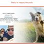 Photo of Hetty’s Happy Hounds