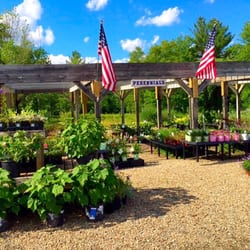 Spillane's Nursery - Perennials on the other side of the nursery