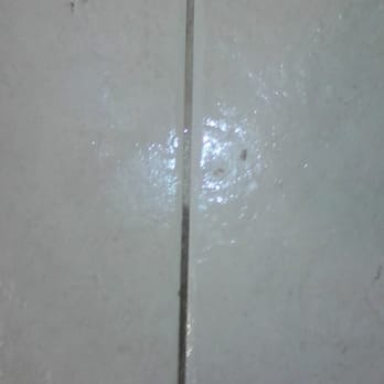 3D Clean All - Carpet Cleaning Near Me - Tampa, Florida