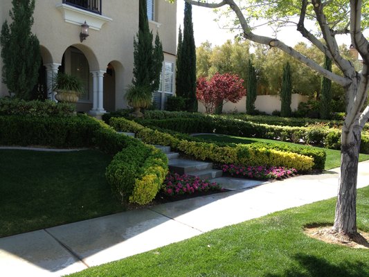 Installation - We provide free estimates and 3D designs for transforming your yard into a beautiful, Water Smart space. We have decades of experience installing:

Artificial Turf
Pavers
Irrigation
Plants
Fire Pits
Xeriscape
Landscape Lighting