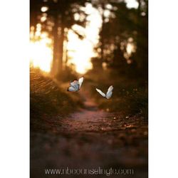 New Beginning Family Counseling & Training Center - TRUST THE MAGIC OF NEW BEGINNINGS FOLLOW US ON INSTAGRAM: nbcounselingtc_105