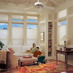 Maxwell Window Shades