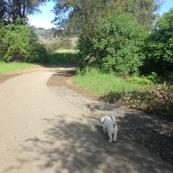 Cloverdale River Park - Parks Near Me - Cloverdale, California Cloverdale River Park - Parks Near Me - Cloverdale, California