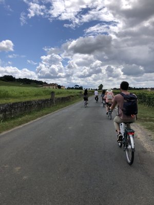 Bordeaux Wine Trails - Wine tours by null