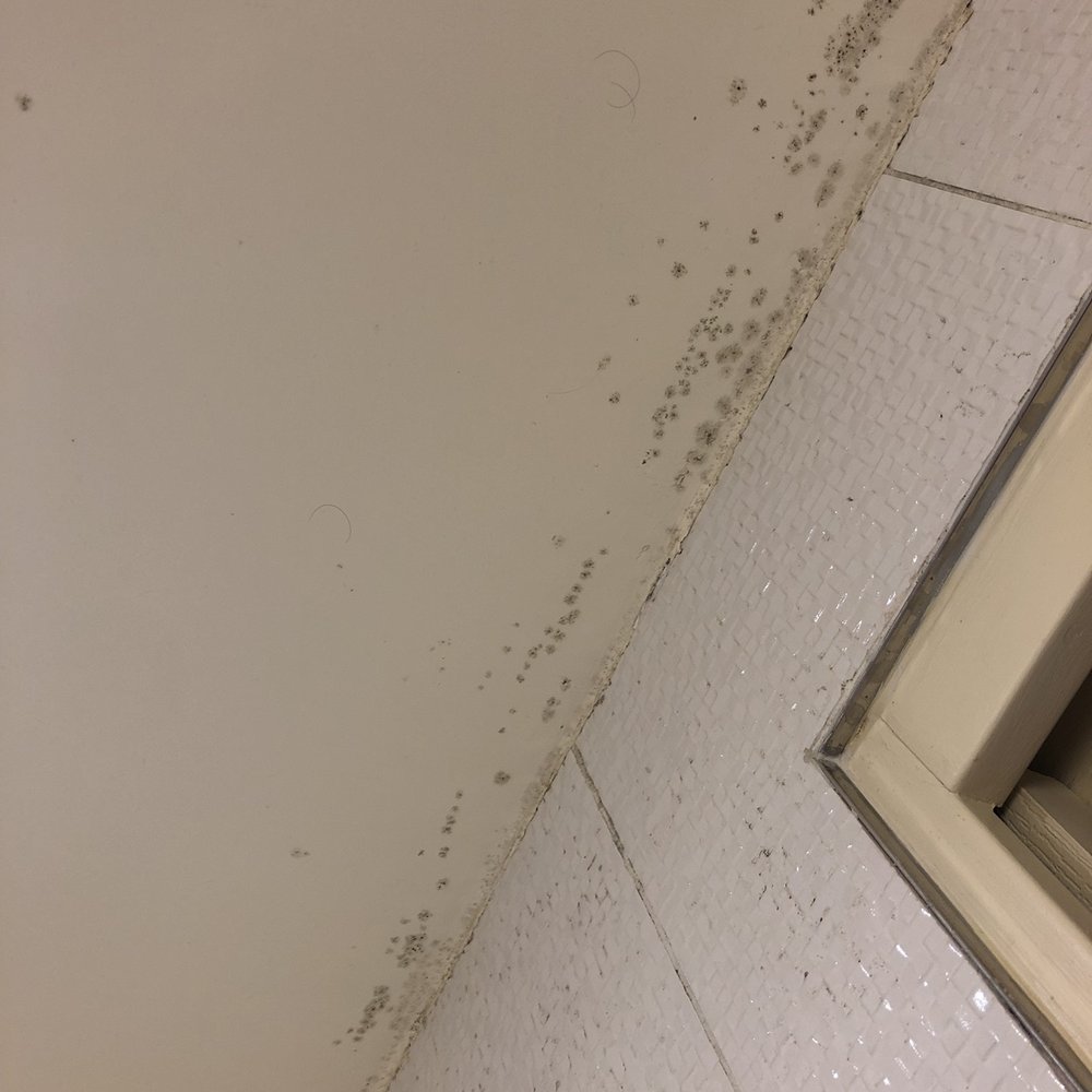 Hôtel des Deux Continents - Mold on the ceiling - Hotels Near Me - Paris, 75