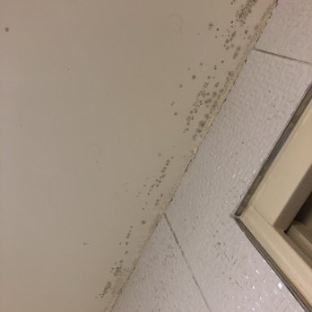 Hôtel des Deux Continents - Mold on the ceiling - Hotels Near Me - Paris, 75