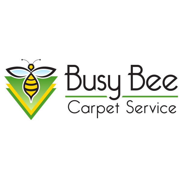 BUSY BEE CARPET SERVICE Updated October 2024 15 Reviews Carmel