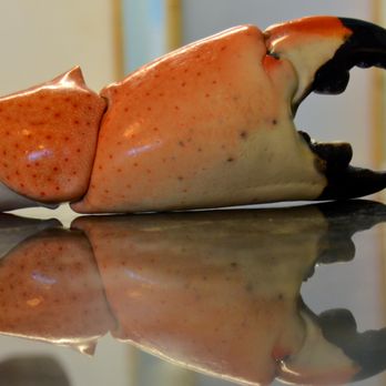 Indialantic Seafood Company - Stone Crabs - Seafood Markets Near Me - Indialantic, Florida Indialantic Seafood Company - Stone Crabs - Seafood Markets Near Me - Indialantic, Florida