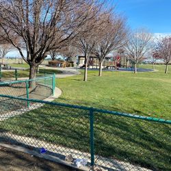 Markley Creek Dog Park - Looking into the park from inside the dog park.