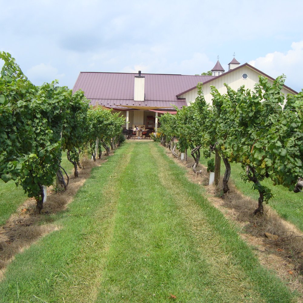 Pearmund Cellars - View towards patio. - Wineries Near Me - Broad Run, Virginia Pearmund Cellars - View towards patio. - Wineries Near Me - Broad Run, Virginia