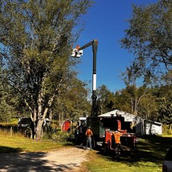 Northern Tree Experts