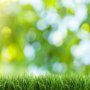 Photo of G & G Lawn Care Services