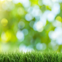 G & G Lawn Care Services