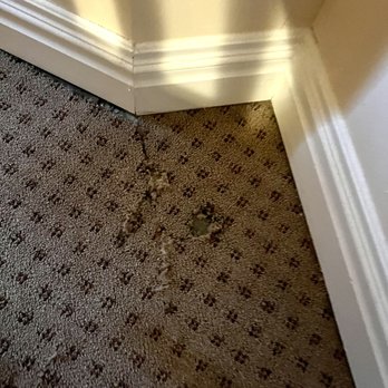 Hotel St James - Nasty carpet - torn, holes and dirty. - Hotels Near Me - New York, New York Hotel St James - Nasty carpet - torn, holes and dirty. - Hotels Near Me - New York, New York