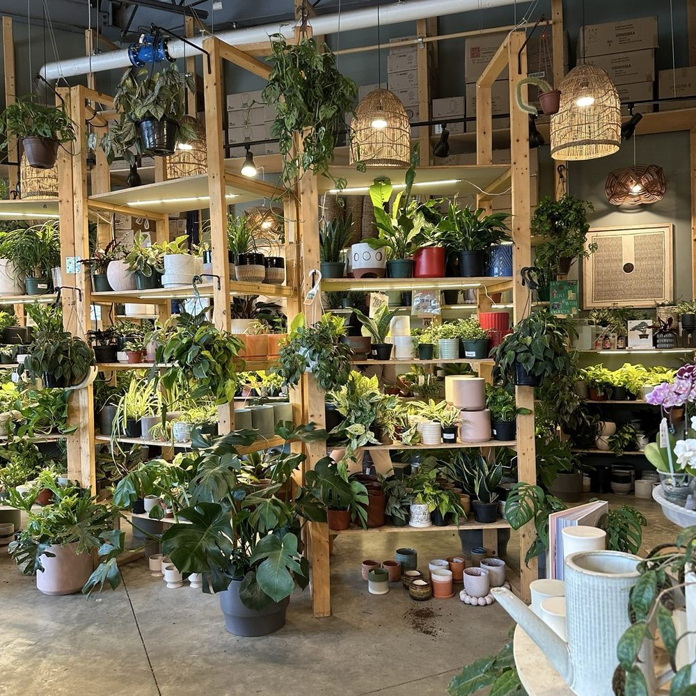 PlantHouse - Nurseries & Gardening Near Me - Charlotte, North Carolina PlantHouse - Nurseries & Gardening Near Me - Charlotte, North Carolina
