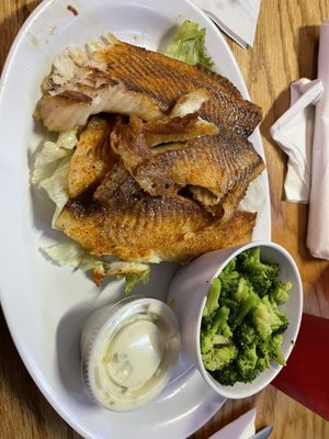 Adam‘s Bar & Grill by null