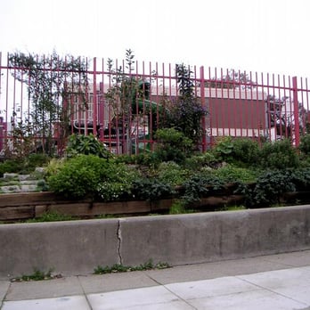Sutro Elementary School - Back of School/Garden - Elementary Schools Near Me - San Francisco, California