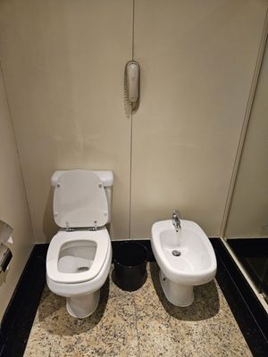 Windsor Barra Hotel by null