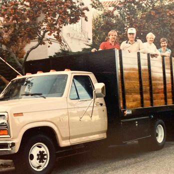 Tree Sculpture - Tree Services Near Me - San Leandro, California Tree Sculpture - Tree Services Near Me - San Leandro, California
